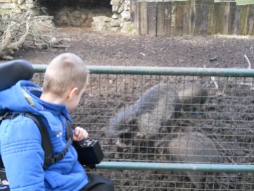 Zoo January 2012 014