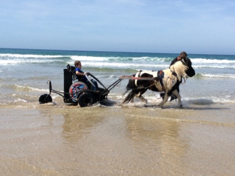 Adam riding on a pony carriage, pulled by a beautiful black and white pony. They are in the sea with the waves lapping gently around them. It is a beautiful day with bright blue sky.