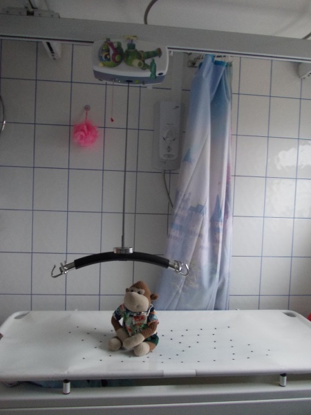 A ceiling hoist and adult sized changing table are pictured. There is a soft toy monkey sat on the bench.